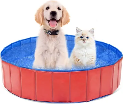 Produktbild von Faltbares Hundepool für kleine Hunde - 60 x 20 cm PVC - Planschbecken für Haustiere - Katzenpool - Hundesprinkler Pad