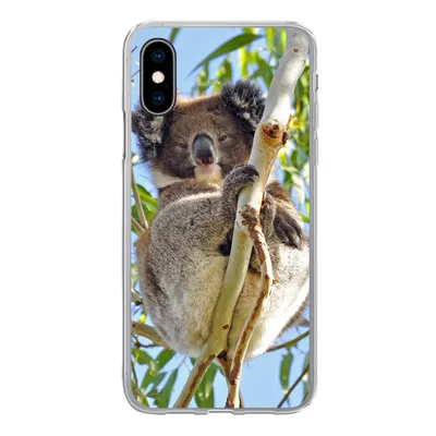 Produktbild von MuchoWow® Handyhülle Schutzhülle Hülle für iPhone X Koala - Luft - Zweige - Jungen - Mädchen Silikon Softcase Handy Hülle - Handyhülle