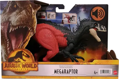 Obrázok produktu pre Mattel HGP79 Jurassic World Dominion Megaraptor Roar Strikers so zvukom, dinosaurus s revom, čierno-červený, akčná figúrka dinosaura