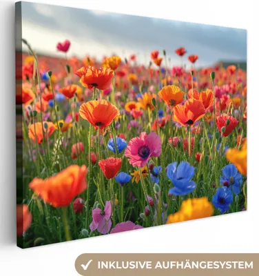 Produktbild von MuchoWow® - Leinwandbilder - Blumen - Mohnblumen - Farbenfroh - Natur, Wandbild, Wanddeko Bilder Wohnzimmer, 40x30 cm