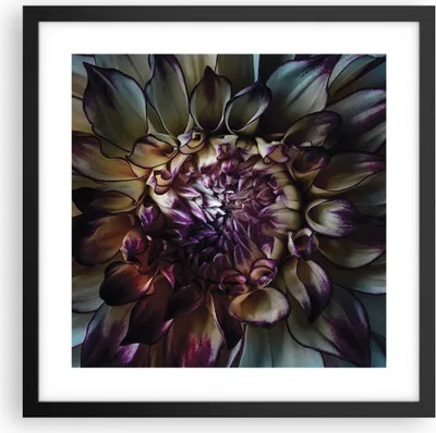 Produktbild von Gerahmtes Poster - Schwarzer Rahmen - Blätter Agave Blume - 40x40 cm - Wand Bild - Wanddeko - Wandbilder - Kunstposter - Wandposter - Bilderrahmen - Bilder - Kunstdruck - P2BAC40x40-5122