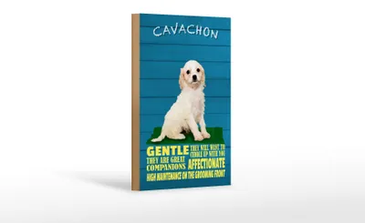 Produktbild von Holzschild Spruch 12x18cm Cavachon Hund gentle affectionat