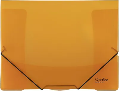 Obrázek produktu pro Sloha s gumou Opaline - oranžová