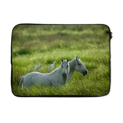 Produktbild von MuchoWow® Laptop Hülle 14 ZollPferde - Vogel - Gras Laptoptasche - Laptoptasche - Stoßsicher - Schutzhaube