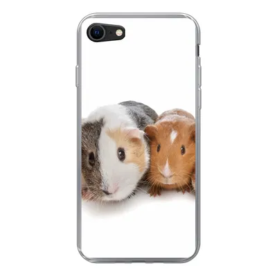 Produktbild von MuchoWow® Handyhülle Schutzhülle Hülle für iPhone 7 Fünf Meerschweinchen Silikon Softcase Handy Hülle - Kartenhalter