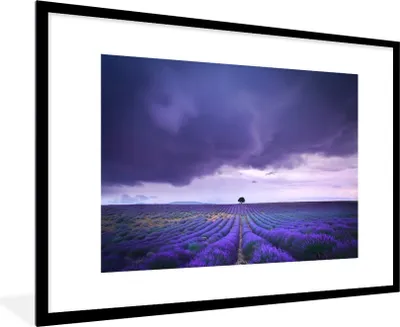 Produktbild von MuchoWow® Gerahmtes Poster Lila Wolken über Lavendelfeldern 90x60 cm - Poster mit Schwarzem Bilderrahmen Wandposter Rahmen Foto Bilder - Wanddekoration - Fotos