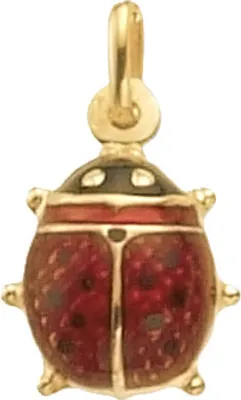 Image de Pendentif Femme Or 375/1000 - 22mm*13mm; TRS23585
