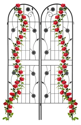 Produktbild von Pflanzenkletterrahmen Pflanzenspalier Rankgitter - 2er Set - 180 x 50 cm - Schwarz - Wetterfest - Pulverbeschichtet