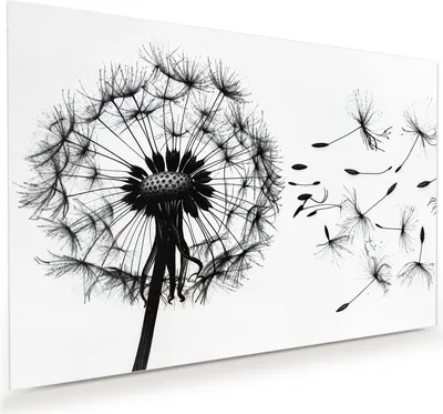Produktbild von Glasbild 45x30cm in XXL für Wohnzimmer, Schlafzimmer Motiv Pusteblume