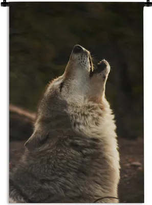 Produktbild von MuchoWow® Wandteppich Wandbehang Wolf - Grau - Tiere 120x180 cm Tapisserie Dekoration Wandtuch - Schlafzimmer - Dekorationen für das Haus