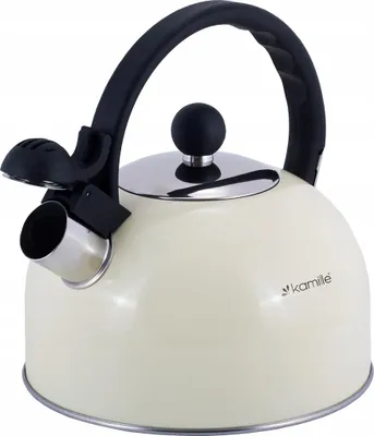 Produktbild von Stahlkessel Mit Pfeifer Induktion 2,5 L