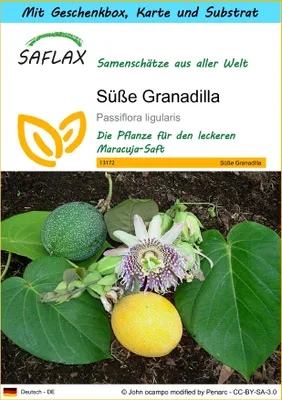 Produktbild von SAFLAX - Geschenk Set - Süße Granadilla - 20 Samen - Mit Geschenk- / Versandbox, Versandaufkleber, Geschenkkarte und Anzuchtsubstrat - Passiflora ligularis