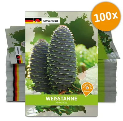 Artikelbild 2 von 'Weißtanne (Regionale Sorte Schwarzwald) (100 Tütchen)'