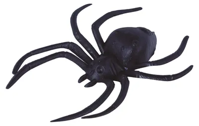 Immagine prodotto di 2 ragni 12,5 cm Decorazione di Halloween