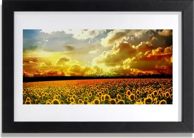 Produktbild von Bild 30x20 MDF-Rahmen Wandkunst Feld von Sonnenblumen Landschaft