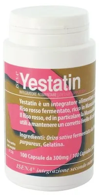 Produktbild von YESTATIN, 100 Kapseln