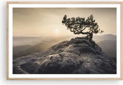 Produktbild von Gerahmtes Poster - Rahmen in heller Eiche - Alt Kiefer Berge - 91,5x61 cm - Wand Bild - Wanddeko - Wandbilder - Kunstposter - Wandposter - Bilderrahmen - Bilder - Kunstdruck - Wandbild P2NAA91x61-4334