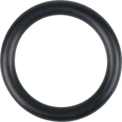 Immagine prodotto di KS Tools O-ring per valvola pompa