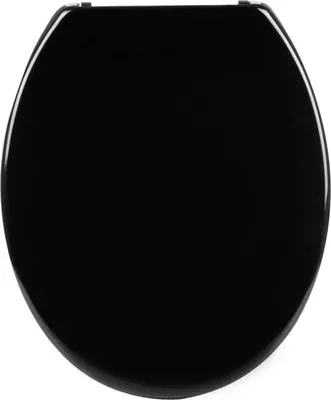 A top-down view of a black toilet seat.