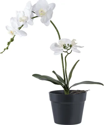 Produktbild von Kunstpflanze Grün-weiße Orchidee 49 cm