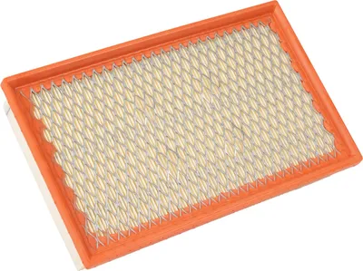 Immagine prodotto di Filtro aria K68293164AC