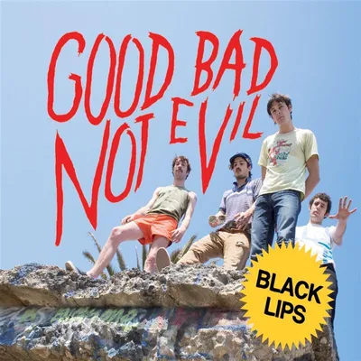 Zdjęcie produktu dla Good Bad Not Evil (edycja deluxe) – limitowana edycja na niebieskim winylu