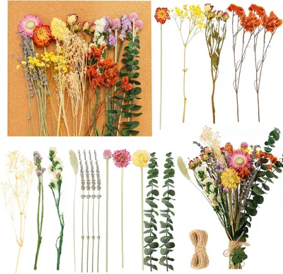 Produktbild von Natürliche Trockenblumen-Set zum Basteln - 28 Stück, 28-30 cm, gemischt mit Schnur