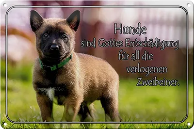 Produktbild von Blechschild Spruch 30x20cm Hunde sind Gottes Entschädigung