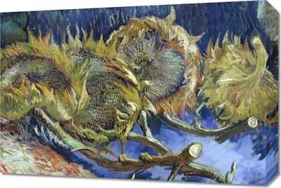 Obrázek produktu pro Obraz 60x40cm Čtyři zvadlé slunečnice, Van Gogh Vintage