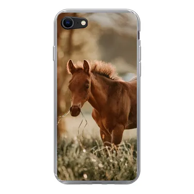 Produktbild von MuchoWow® Handyhülle Schutzhülle Hülle für iPhone SE 2020 Pferd - Licht - Wiese Silikon Softcase Handy Hülle - Kartenbesitzer