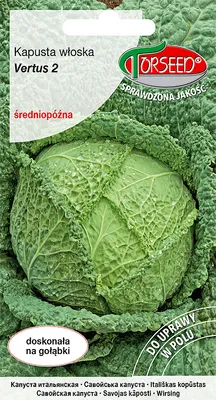 Produktbild von Samen Vertus-Kohl 2 2g - Torseed