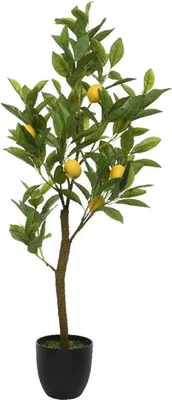 Obrázok produktu pre Citronovník v květináči, 92 cm, KSD