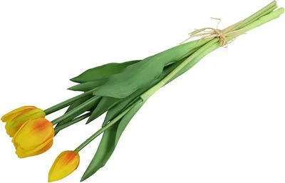 Zdjęcie produktu dla Bukiet tulipanów Countryfield – tulipany – żółto-pomarańczowe – 40 cm