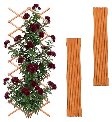 Produktbild von Wandmontiertes Rankgitter-Set, 3-teilig, ausziehbar, aus Holz