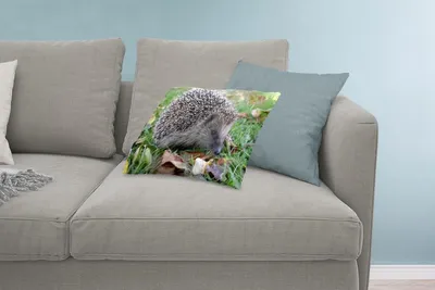 Produktbild von MuchoWow® Zierkissen Sofakissen Wohnzimmer Dekokissen 60x40 cm Igel im Gras - Kopfkissen - Polster mit Foto