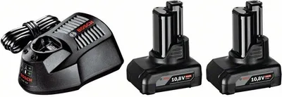 Zdjęcie produktu dla Bosch 1600A01B20 Bosch 2x 6.0Ah, GAL 12V-40 Akku