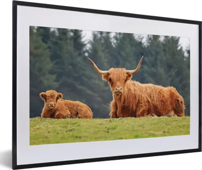 Produktbild von MuchoWow® Gerahmtes Poster Schottische Highlander - Gras - Wald 60x40 cm - Poster mit Schwarzem Bilderrahmen Wandposter Rahmen Foto Bilder - Schlafzimmer - Plakat in Rahmen - Drucken