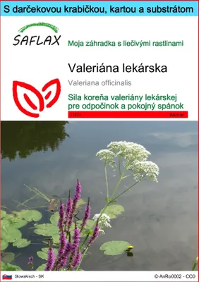 Obrázok produktu pre SAFLAX Darčeková sada - valeriána lekárska - Valeriana officinalis - 200 Semená - S darčekovou krabičkou, prepravným štítkom, darčekovou kartou a pestovateľským médiom