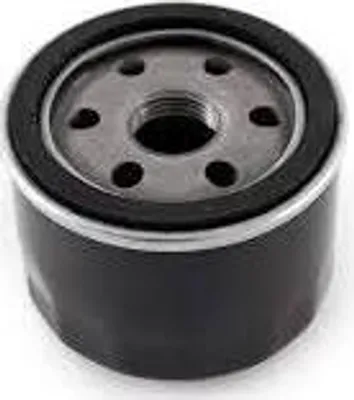 Produktbild von Ölfilter Für Zongshen Xp380 Xp420 Xp620 Mtd Thorx Ohv Loncin