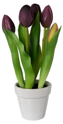 Produktbild von Künstliche Tulpe 25cm. Kunstblume im weißen Topf. Real-Touch. Purple