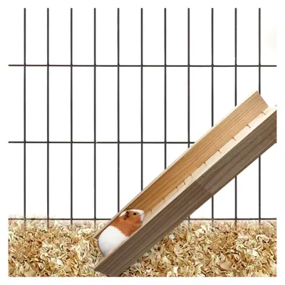 Produktbild von Kletterrampe für Meerschweinchen, Holzbrücke für Haustiere, Spielzeugleiter für Hamster und Zubehör für kleine Tiere – 60 × 12,5 × 7 cm