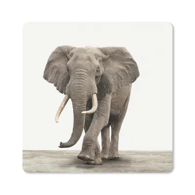 Produktbild von MuchoWow® Mauspad Mousepad Tiere - Elefant - Grau 30x30 cm - Mousepads - Maus Mat - Pad - Mausunterlage - Gaming