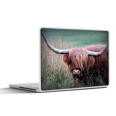 Produktbild von MuchoWow® Laptop Aufkleber Sticker Cover Schottischer Highlander - Hörner - Gras 40x30 cm - Laptop Dekoration - Selbstklebend
