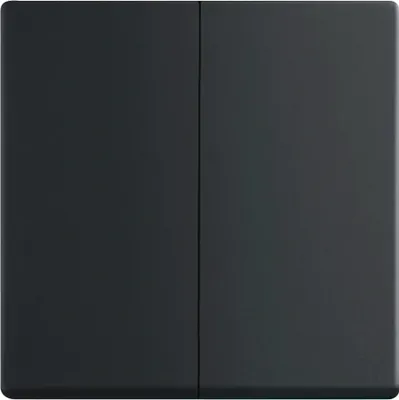 Produktbild von BUSCH JAEGER 1751-0-3038 - Tasten - Schwarz - Kunststoff - 63 mm - 63 mm - 1 Stück(e)