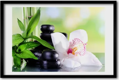 Produktbild von Bild 60x40 MDF-Rahmen, Wandkunst Orchidee