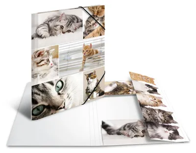 Image de HERMA Sammelmappe A4 Katzen Pappe