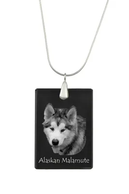 Produktbild von Alaskan Malamute, Alaskischer Malamute - Kristallanhänger mit Hund, Silberhalskette mit Foto, personalisierter Anhänger der Marke Art-Dog