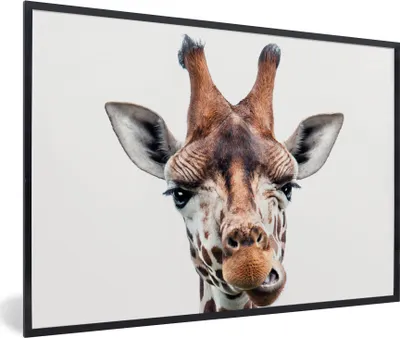 Produktbild von MuchoWow® Gerahmtes Poster Jungen - Giraffe - Tiere - Kopf - Porträt - Kind - Mädchen 90x60 cm - Poster mit Schwarzem Bilderrahmen Wandposter Rahmen Foto Bilder - Fotorahmen - Foto-Plakat