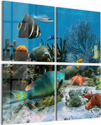 Produktbild von DEQORI Glasbild Echtglas 4x50x50 cm 'Regenwald der Meere' Wandbilder XXL groß