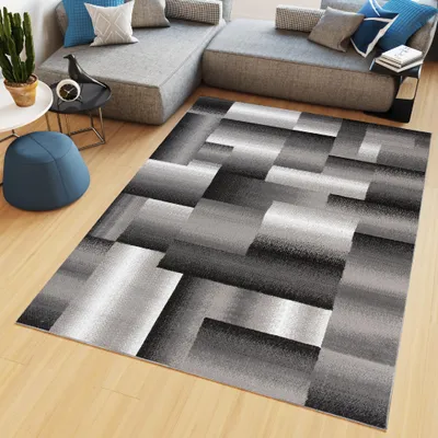 A modern living room with a sectional sofa and a rug.